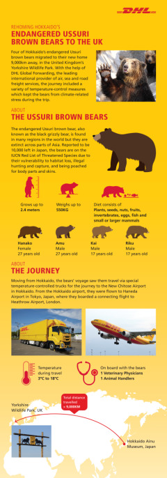 Hokkaido's endangered bears keep their cool with DHL en route to Yorkshire Wildlife Park