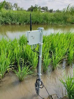 Murata Manufacturing Conducts Field Trial Utilizing Soil Monitoring System to Visualize the Condition of Agricultural Land