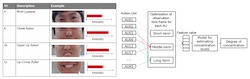 Fujitsu Develops AI Model to Determine Concentration During Tasks Based on Facial Expression