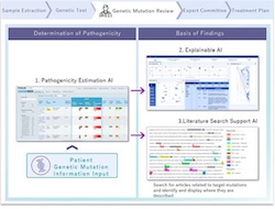 Fujitsu, Kyoto University Develop Explainable AI Verification System for Estimating Disease-Causing Potential of Genetic Mutations