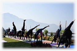 Yoga's Kashmir Connection: Time for Revitalisation