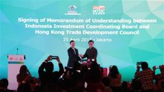 Hong Kong-Shanghai Mission Explores Infrastructure Potential in the Philippines and Indonesia