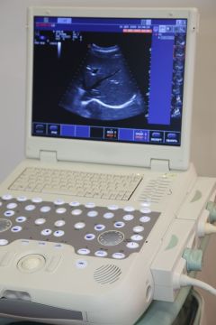 Ultrasounds can decrease bone density