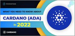Interview: What You Need to Know about Cardano (ADA) in 2022