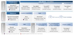 Peijia Medical Announces 2022 Interim Results: TaurusOne(R) and TaurusElite(R) Repeatedly Sets New Monthly Highs in Implantation Volume