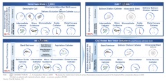 Peijia Medical Announces 2022 Interim Results: TaurusOne(R) and TaurusElite(R) Repeatedly Sets New Monthly Highs in Implantation Volume