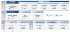 沛嘉醫療公佈2022年中期業績：TaurusOne®及TaurusElite®屢創月度植入量新高