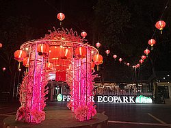 Spritzer Ecopark Transformed to Colourful Spring Overnight