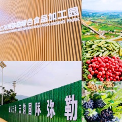 Tianyun International (6836.HK)'s Acquisition of a Parcel of Land in Honghe Prefecture, Yunnan Province
