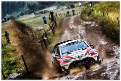 Latvala Wins the Power Stage, Hanninen Also Scores