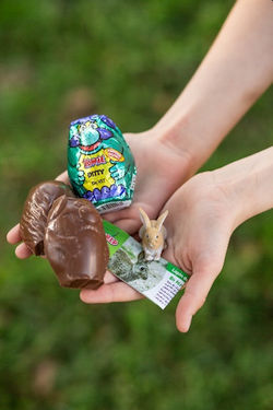 Yowie Helps Kids Stay on Track at School and at Home With Downloadable Rewards Chart, Fun Activities and a Sweet Treat