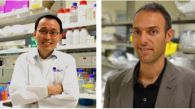 Two A*STAR Scientists Clinch Prestigious 2015 EMBO Young Investigator Awards