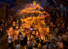 香港の伝統的な祭: 世代を超えて受け継がれる大坑ファイヤー・ドラゴン・ダンス（舞火龍）