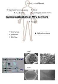 Biopolymer - Designer Interfaces between Biological and Artificial Systems